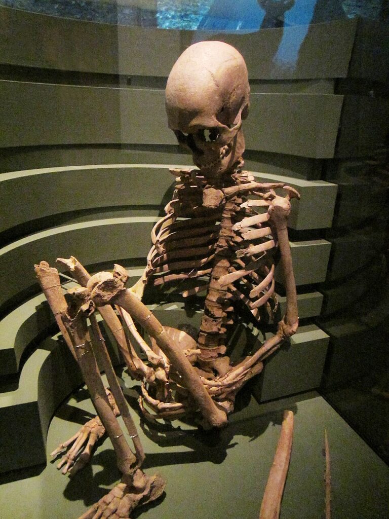 Skelett der Frau von Barum, die vor rund 9.000 Jahren mit einer Jagdwaffe bestattet wurde